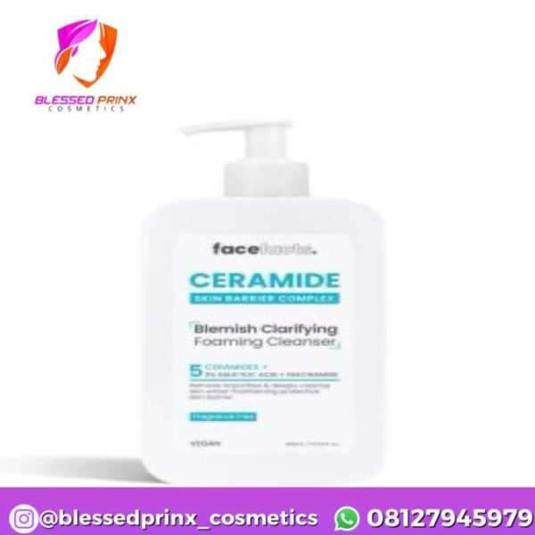 Face Facts Ceramide Blemish Clarifying Foaming Cleanser - 400ml
